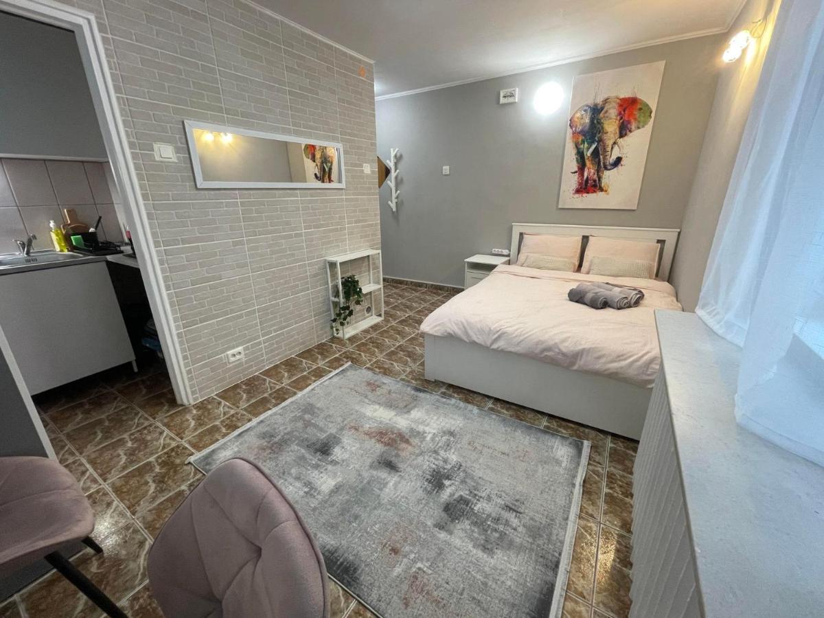 One Room Apartment Decebal Букурещ Екстериор снимка