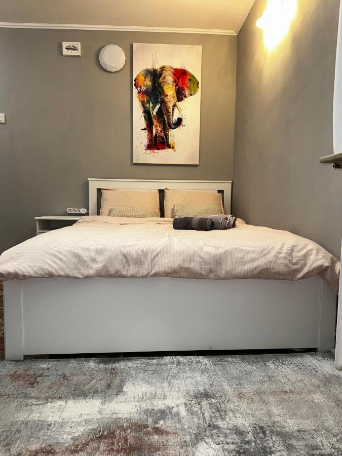 One Room Apartment Decebal Букурещ Екстериор снимка